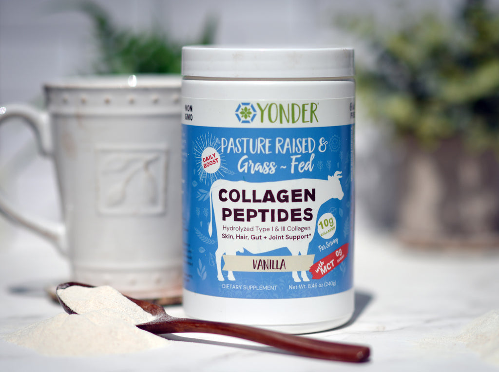 Vanilla Collagen with MCT Latte