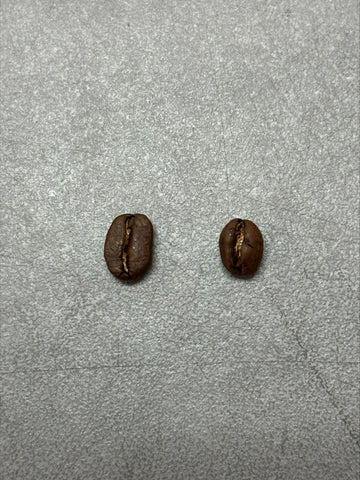 Tanzania Peaberry Bean Compared to Regular Coffee Bean