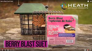 Heath Berry Blast Suet Cake Video