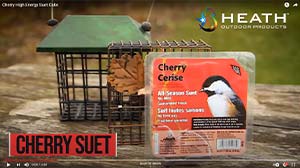 Heath Cherry Suet Video