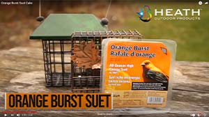 Heath Orange Burst Suet Cake video