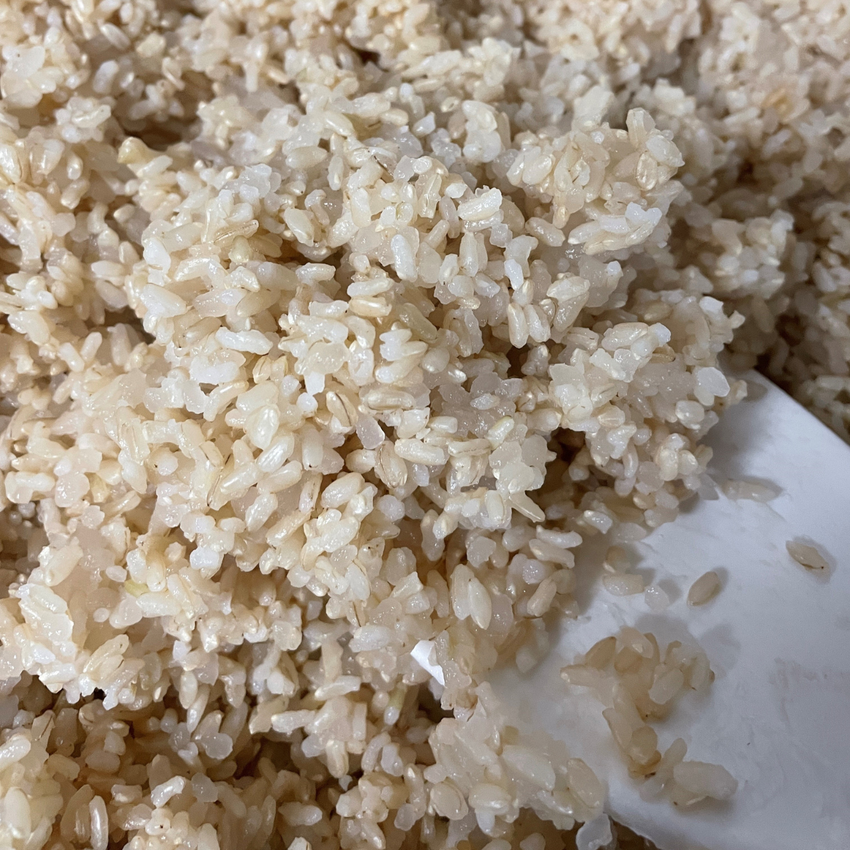 Steamed konjac grain mixed with steamed brown rice