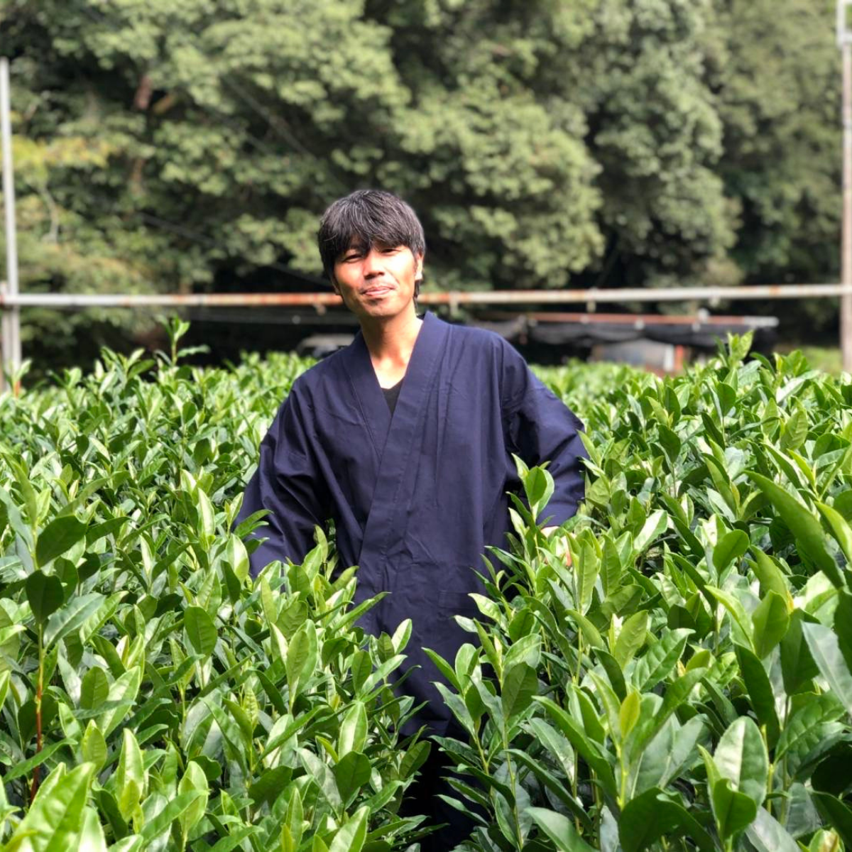Man standing in the middle of tea fields