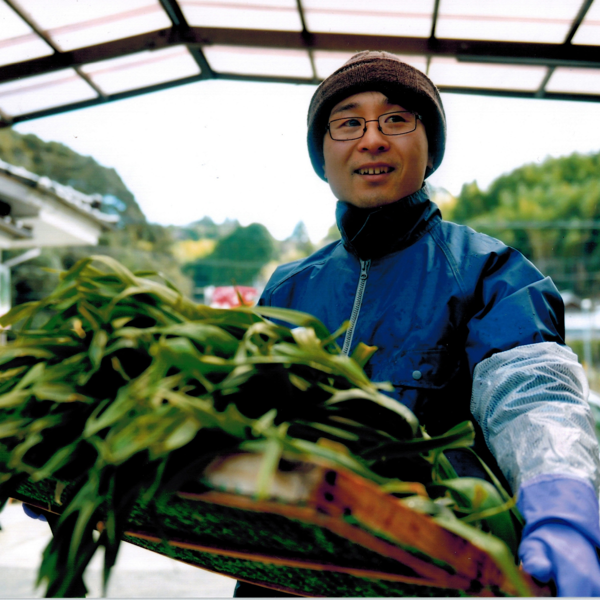 Man holding bunch of green garlic plants