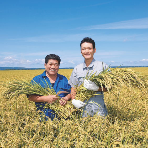 Two farmers standing in the middle of rice field