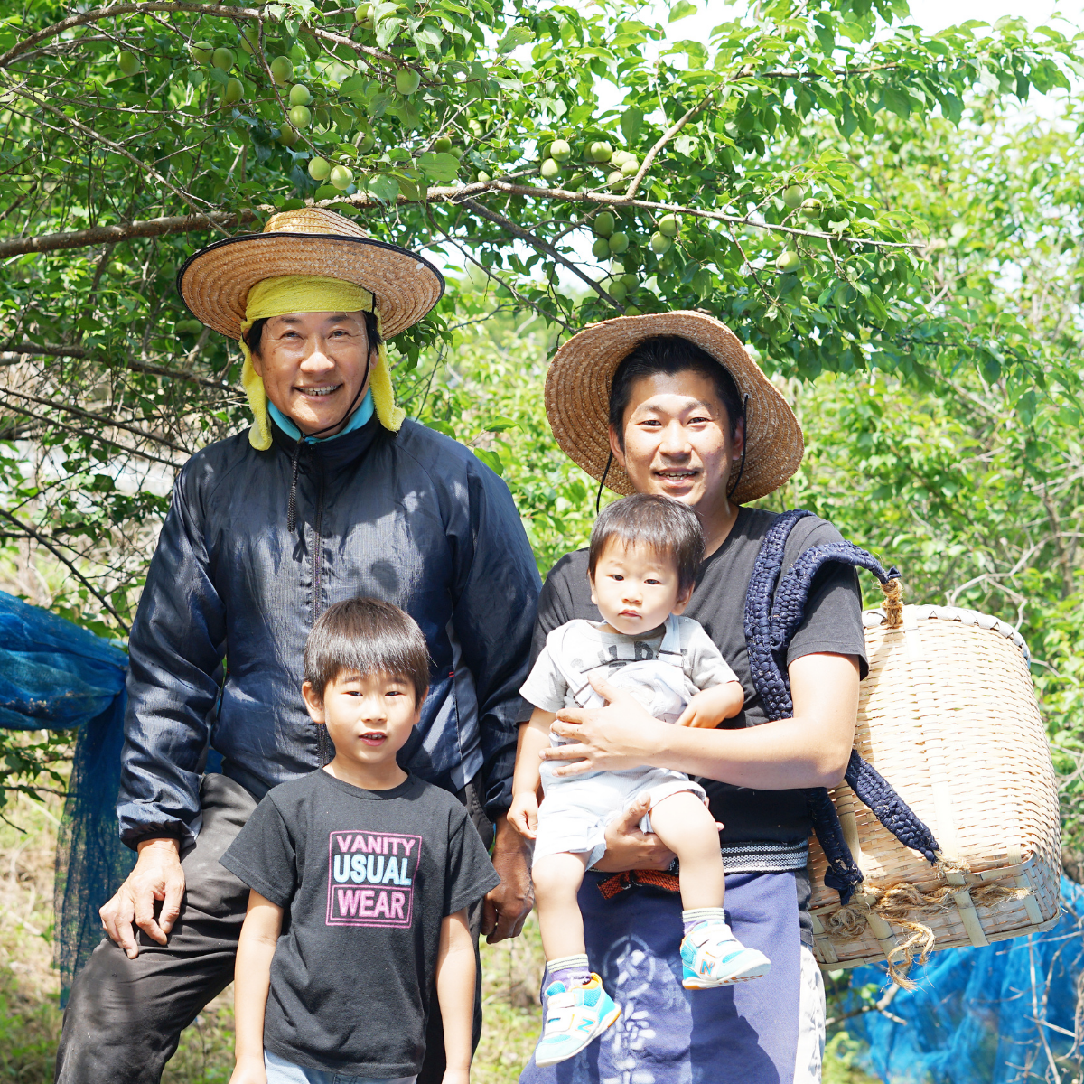 Farmer family standing under ume plum trees