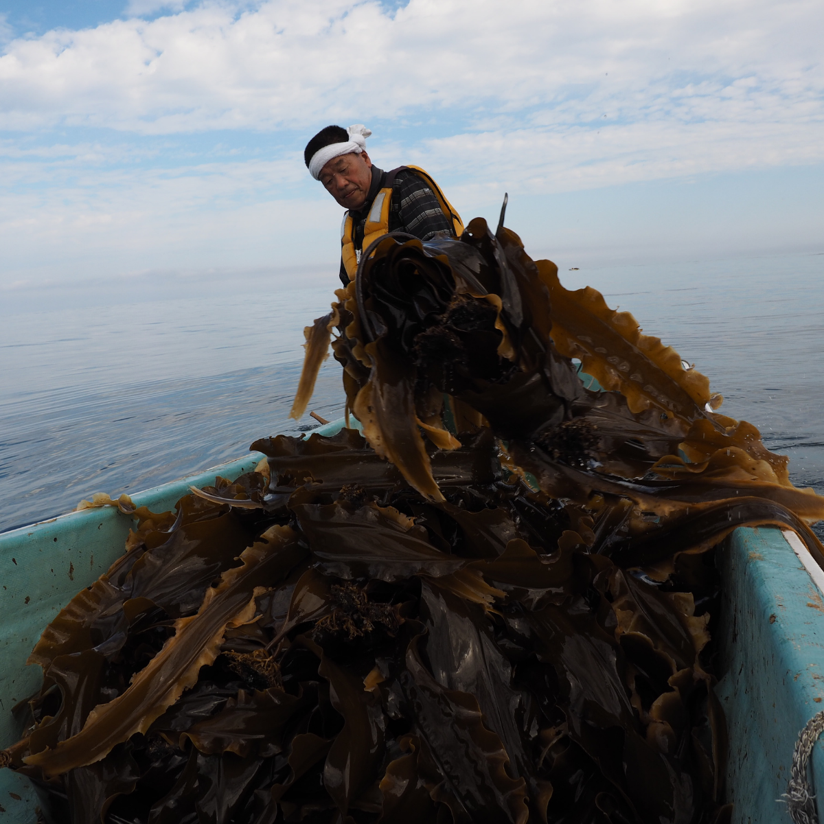 Man pulling up a fishing net