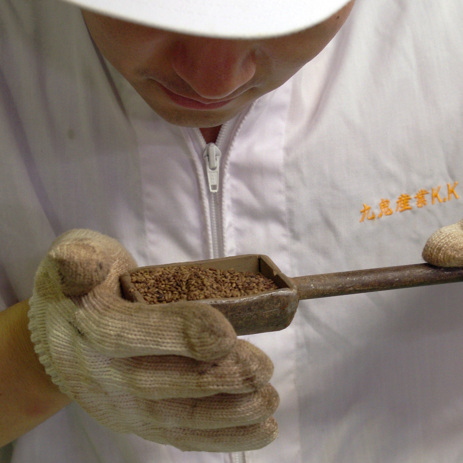 Craftsman gazing at roasted sesame seeds