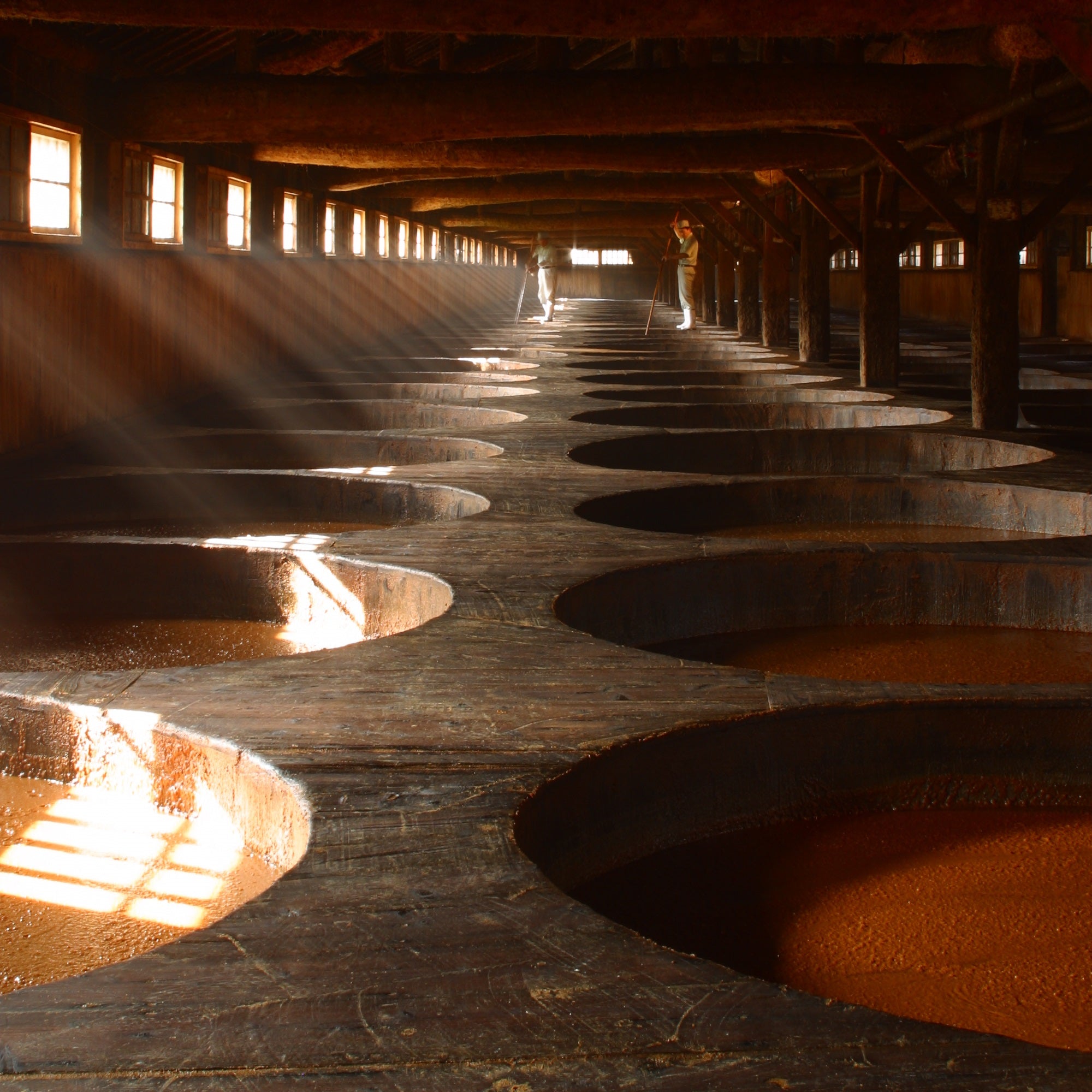 Two craftsmen standing in soy sauce brewery