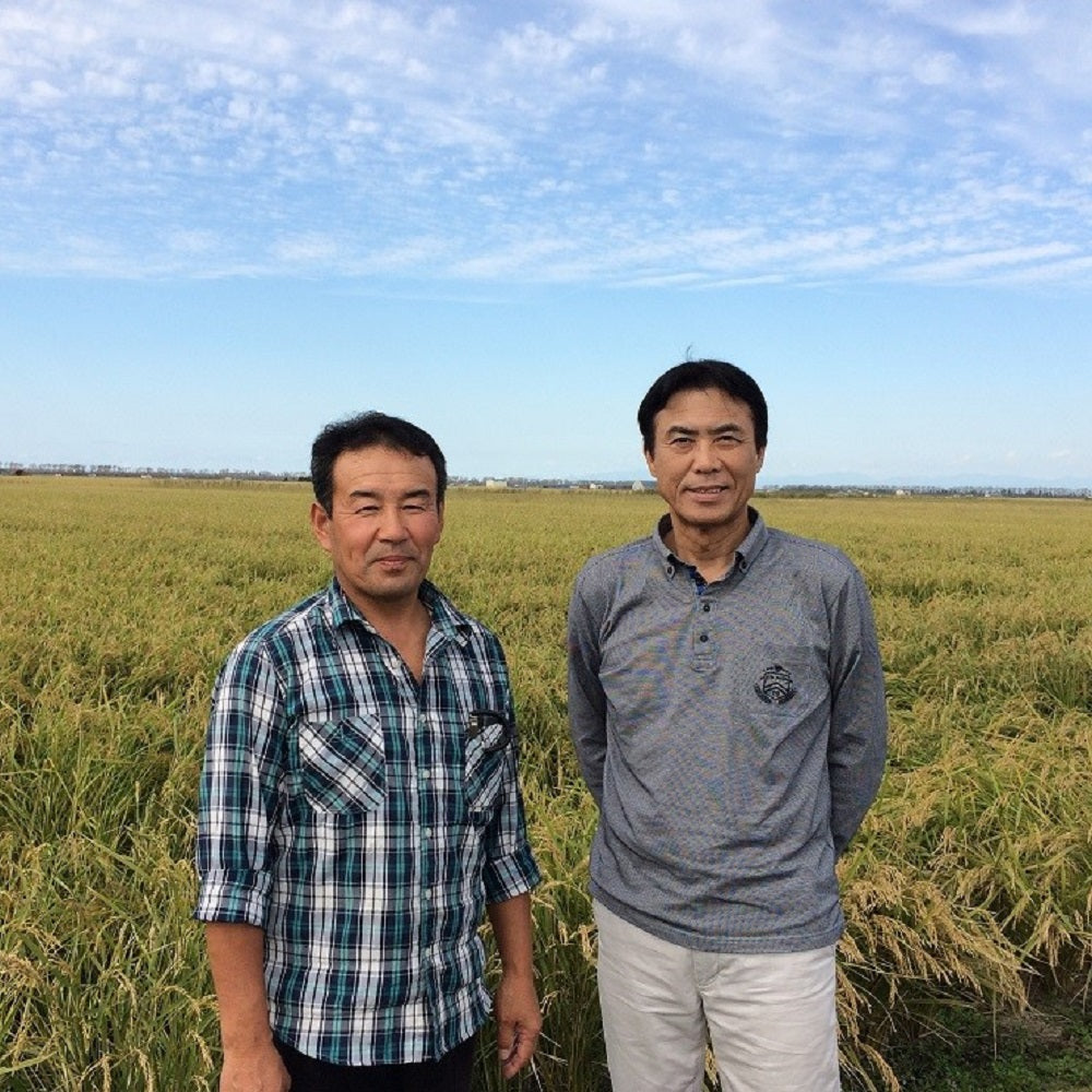 Two farmers standing in the middle of rice field