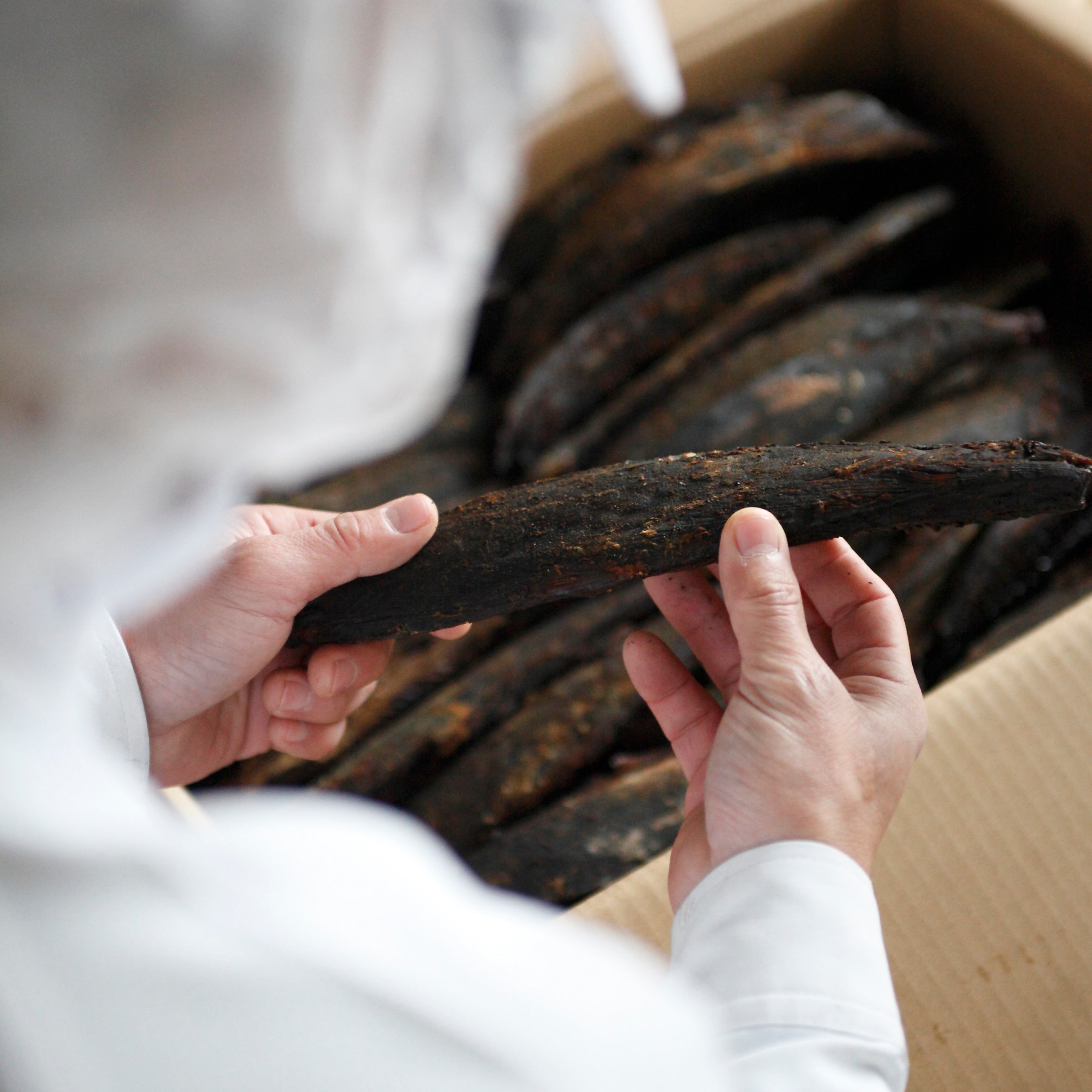 Craftsman inspecting dried bonito