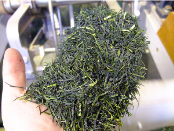 dried green tea leaves