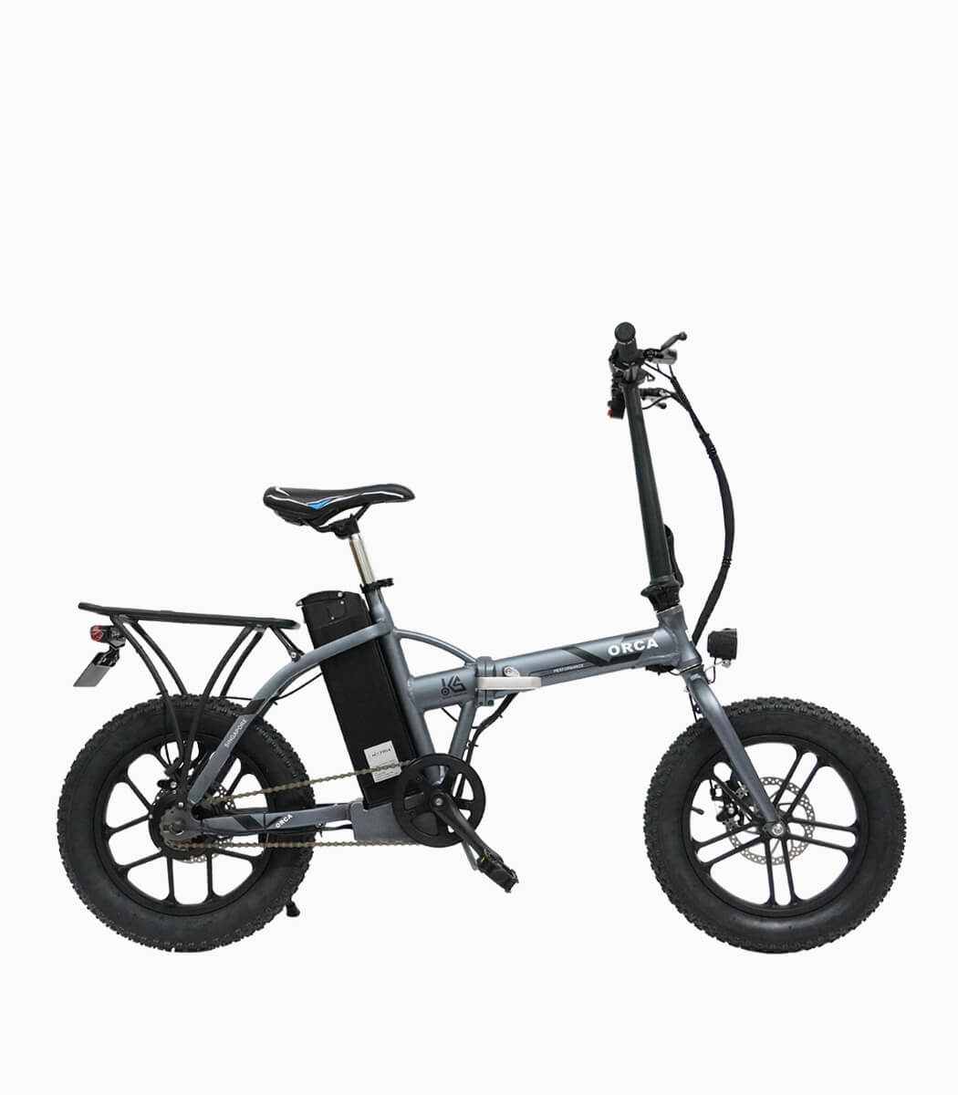electric bike with cart