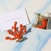 Joanna Buchanan Coral placecard holders, coral, set of two