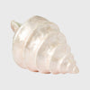 Joanna Buchanan Capiz shell decorative object