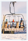 Gray Malin Chairlift Pups Vertical, Aspen