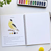 Cuaderno de acuarela de pájaros de Emily Lex