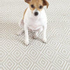 Dash & Albert Diamond Platinum/White Indoor/Outdoor Rug