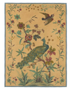 Manta Toile Sepia con diseño de pavo real de John Derian