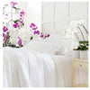 Pine Cone Hill Classic Ruffle White Sheet Set