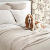 Pine Cone Hill Seychelles Dove White Quilted Sham