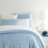 Pine Cone Hill Tyler French Blue Quilt