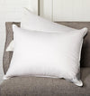 Sferra Dover Pillow