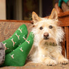 Socken, die Hunde retten