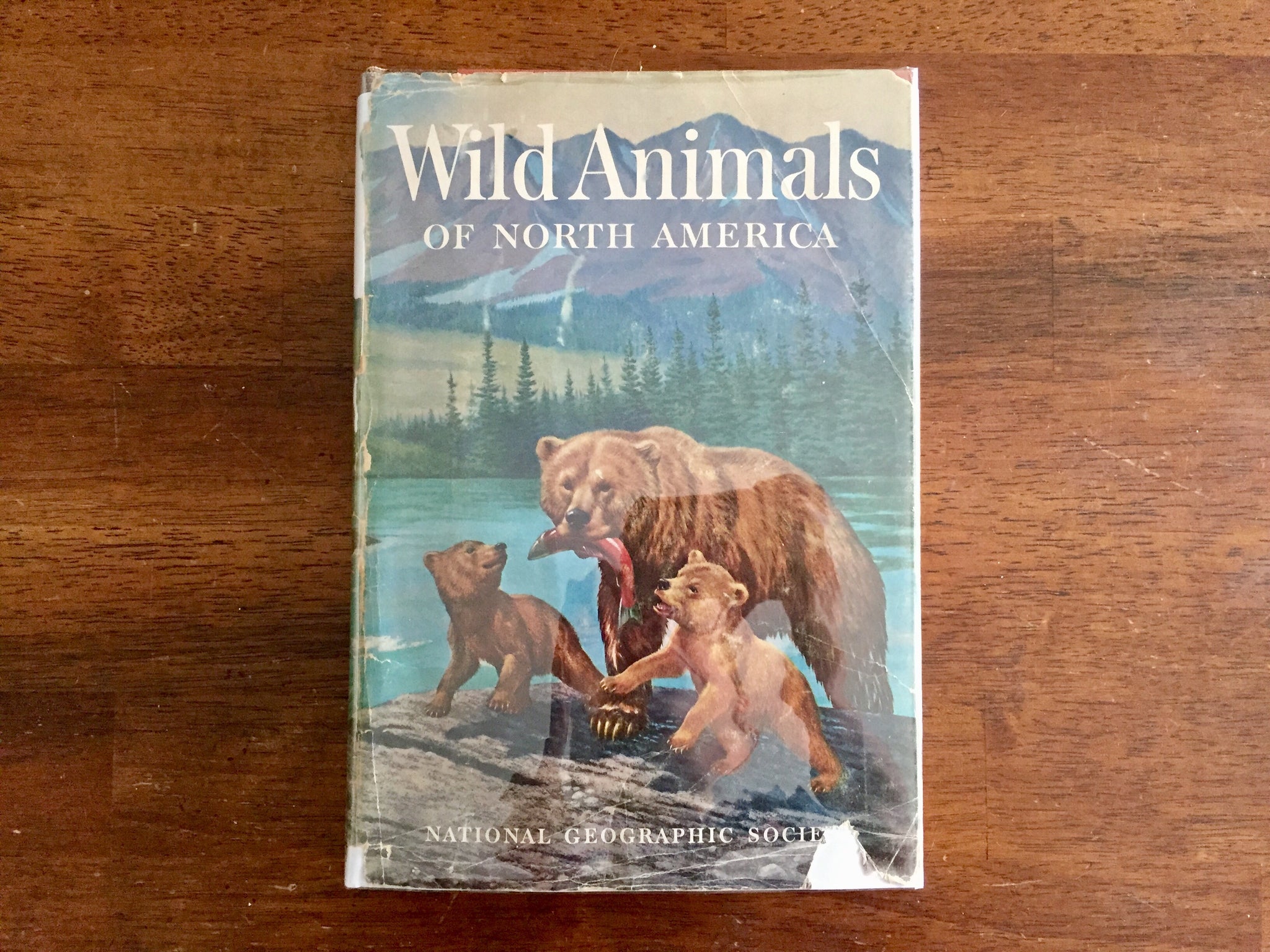 洋書 WILD LIFE IN AMERICAN ART-