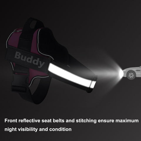 harness is reflective to light to improve visibility from cars
