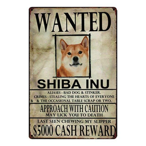 shiba dog poster, with wanted sign and looking for dog