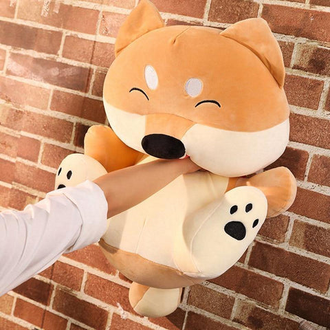 shiba inu plush toy, pushed up against a wall