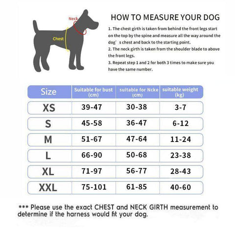 Size measurements for the shiba inu harness