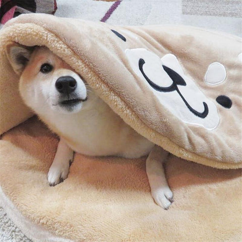 shiba inside a plush bed looking out