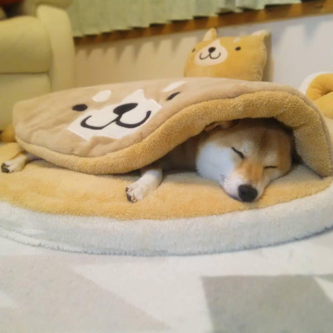 a shiba bed with a shiba asleep in it