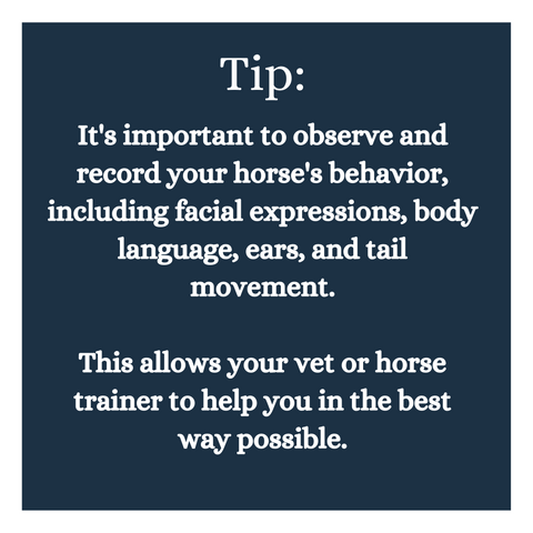 Understanding Your Horse's Behavior: Is It a Problem or Pain? - Tip 2
