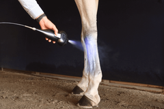 picture of america cryo subzero being used on horses leg