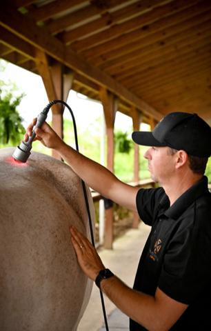 America cryo product being used on horses back