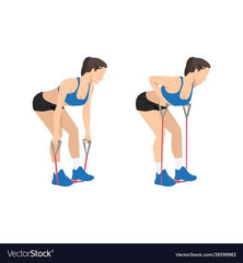 bent over row exercise graphic