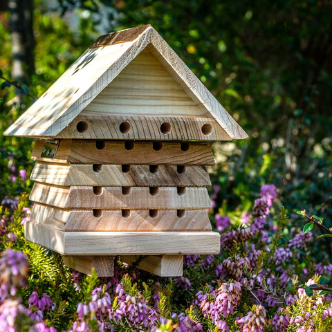 Wooden Solitary Bee Hive With Bee Holes Fro solitary Bees