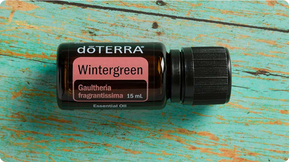 Грушанка DOTERRA. DOTERRA эфирное масло грушанка. Грушанка ДОТЕРРА Wintergreen. Эфирное масло Wintergreen ДОТЕРРА.