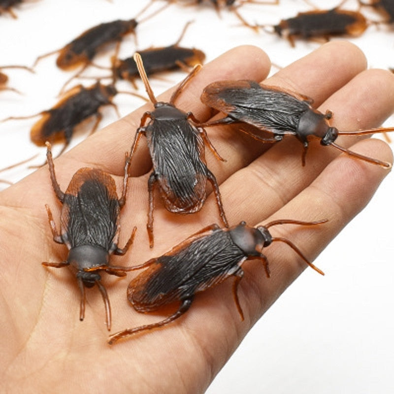 cockroach simulator underskirt