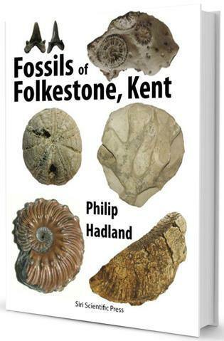 Fossil Hunting & Identification | Books – Tagged 
