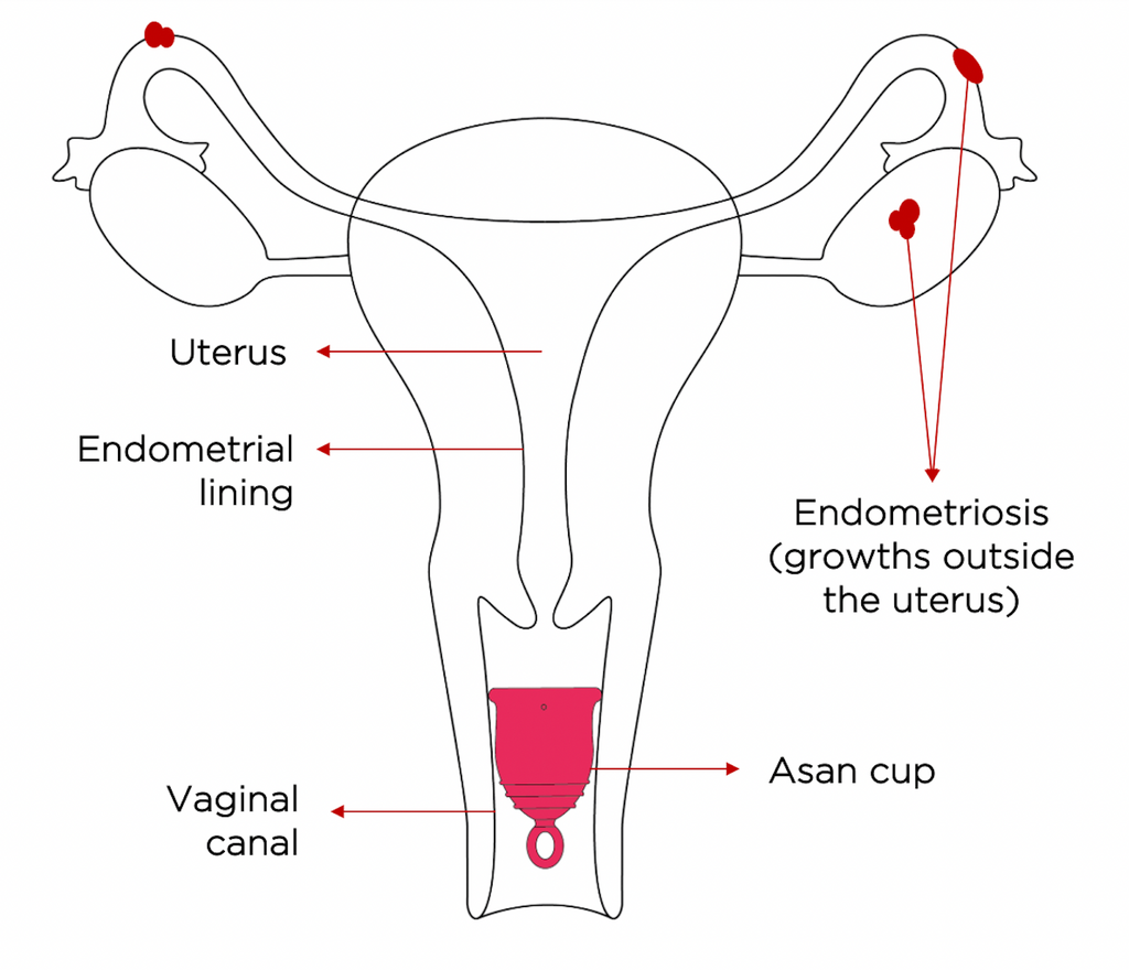 Menstrual cups