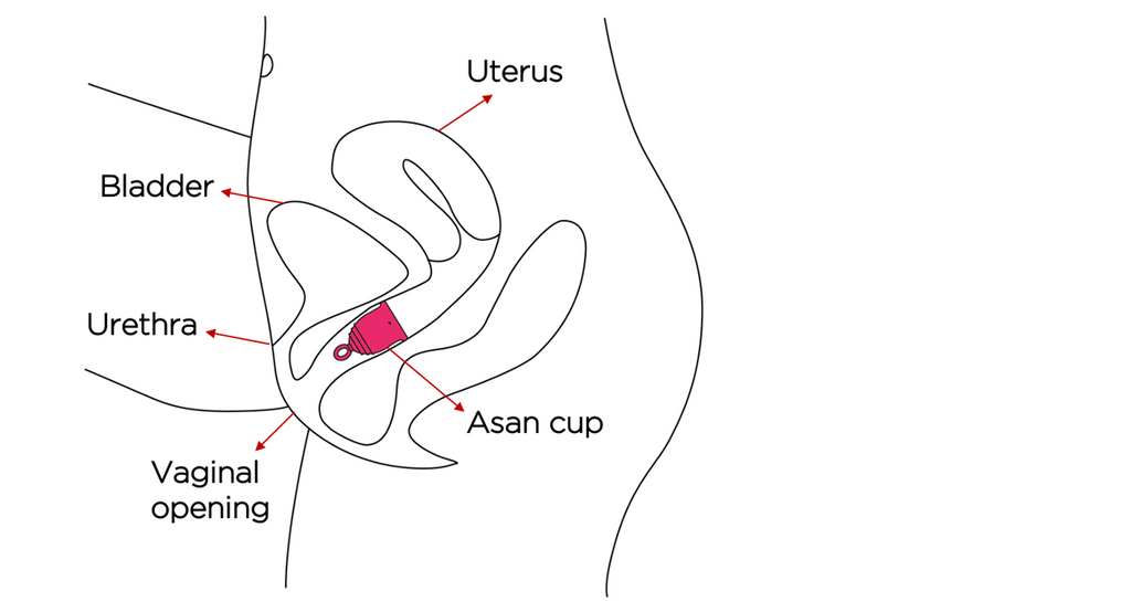 Should You Or Should You Not Try A Menstrual Cup