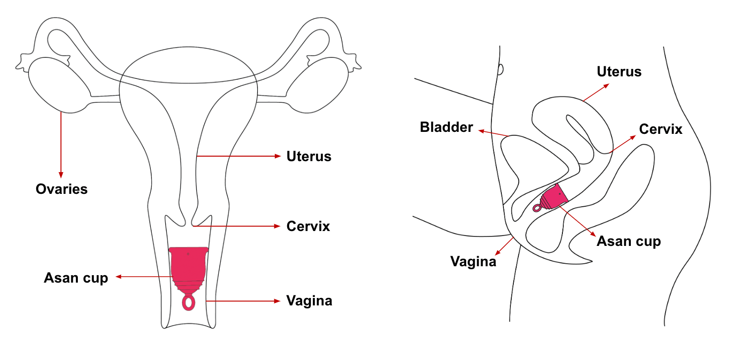How far to insert a menstrual cup