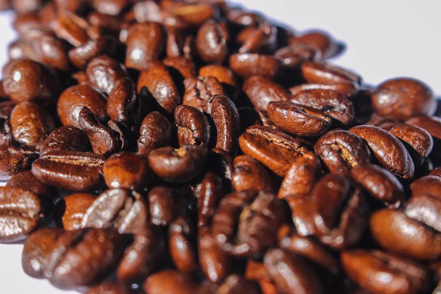 Oily Kona coffee beans