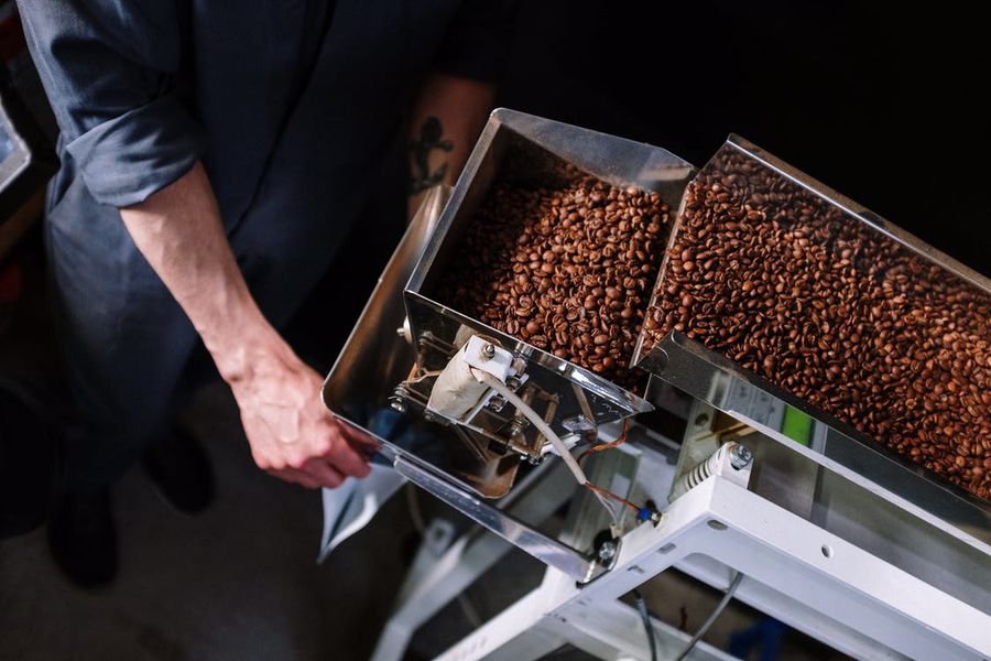 Coffee beans being processed