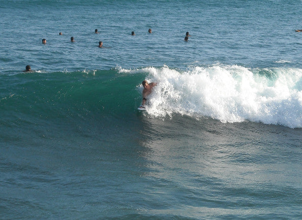 Brian Fannin shredding at Point Panic, Oahu