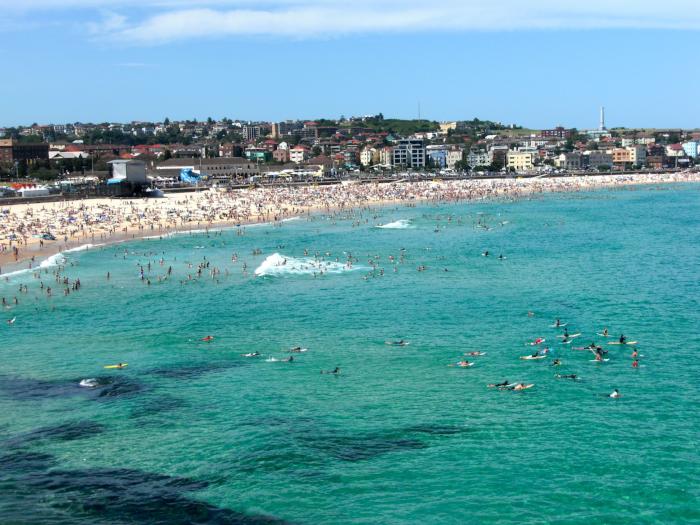 Slyde Handboars Bondi Beach